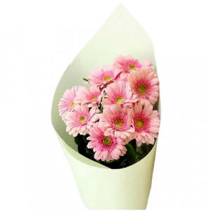 small-pink-gerbera-bouquet